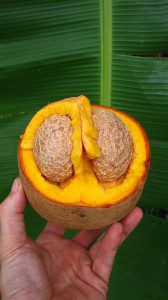 tropical fruit, hawaii,