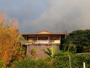 permaculture, eco living, big island, hawaii