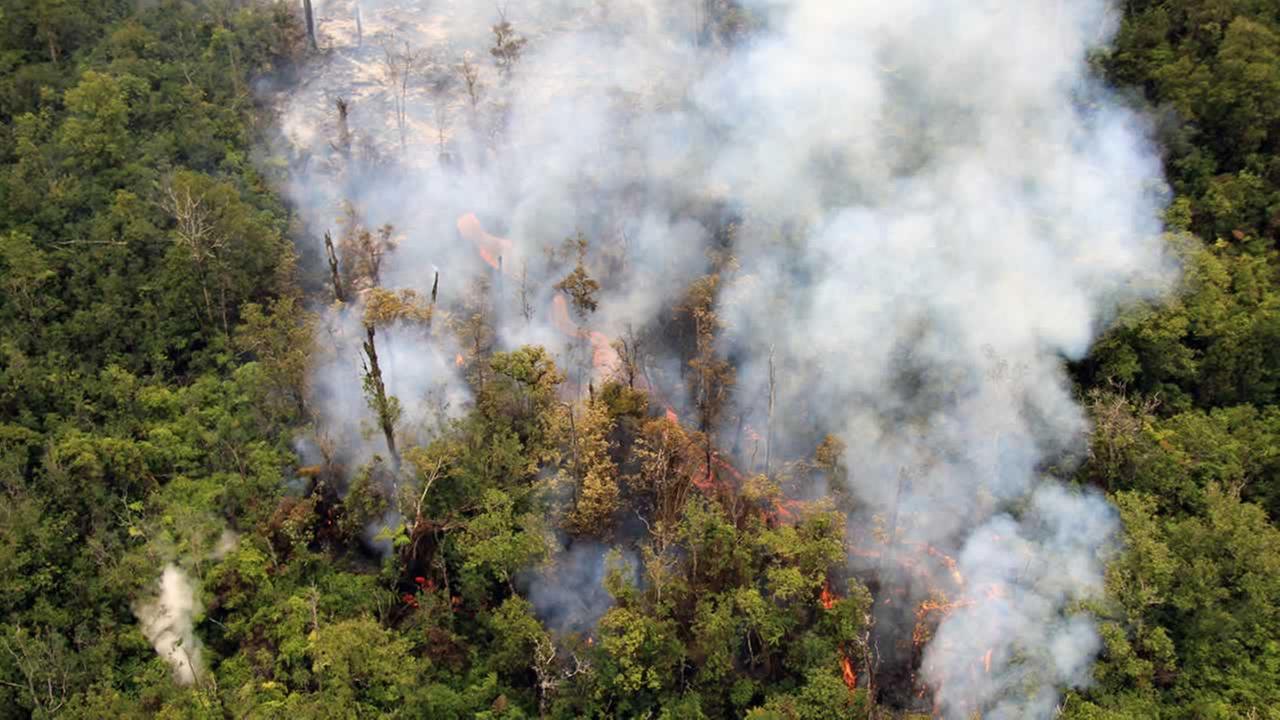 Pahoa, Big Island, Hawaii Lava Flow Burning Trees