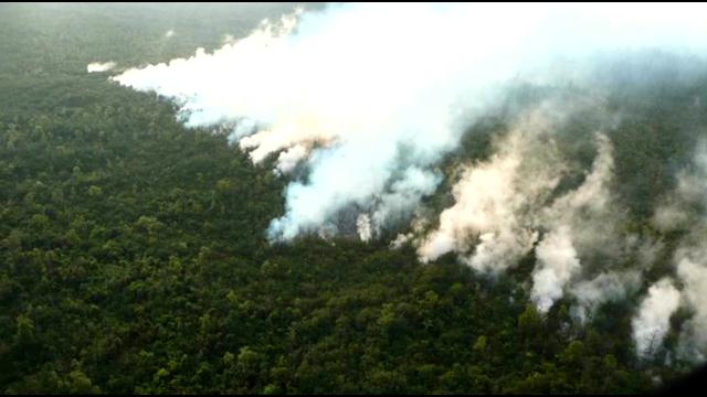 Lava Flow in Pahoa Puna Big Island Hawaii burning trees and lots of smoke