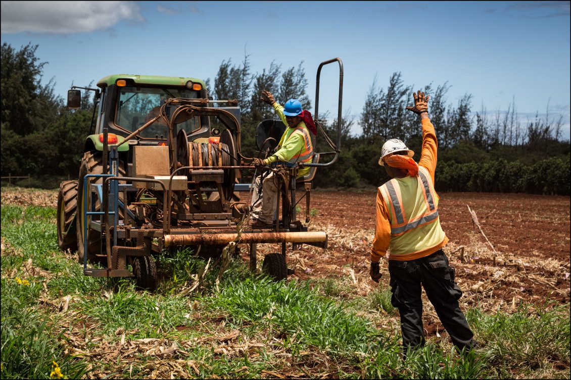 Pro-GMO Hawaii Farm Group Aims to Spend $400,000 – Civil Beat