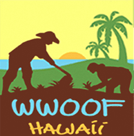 Hawaii WWOOF (World Wide Opportunities on Organic Farms)