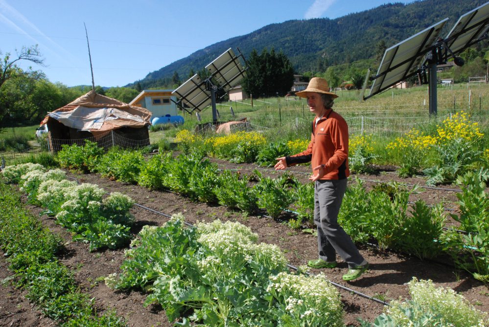 Big Island Organic Farms - man standing in his garden
