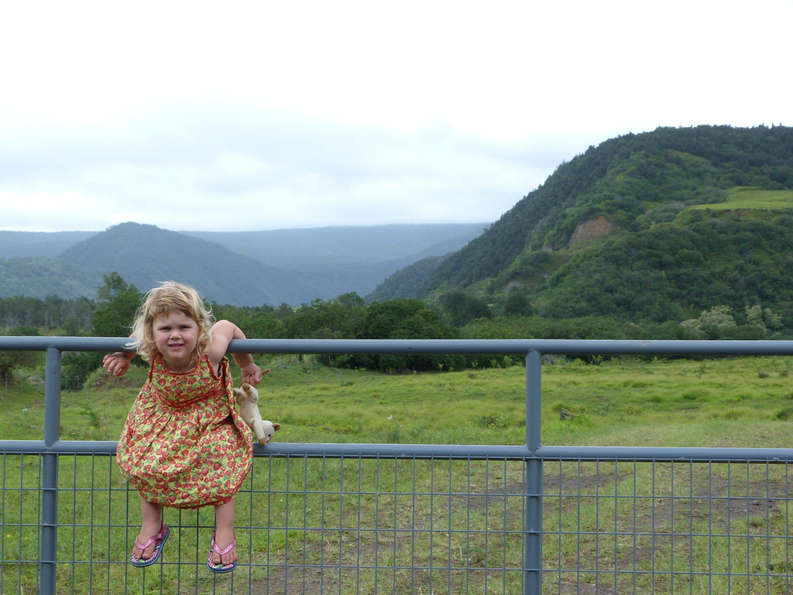 Big Island Organic Farms - little girl on a gate