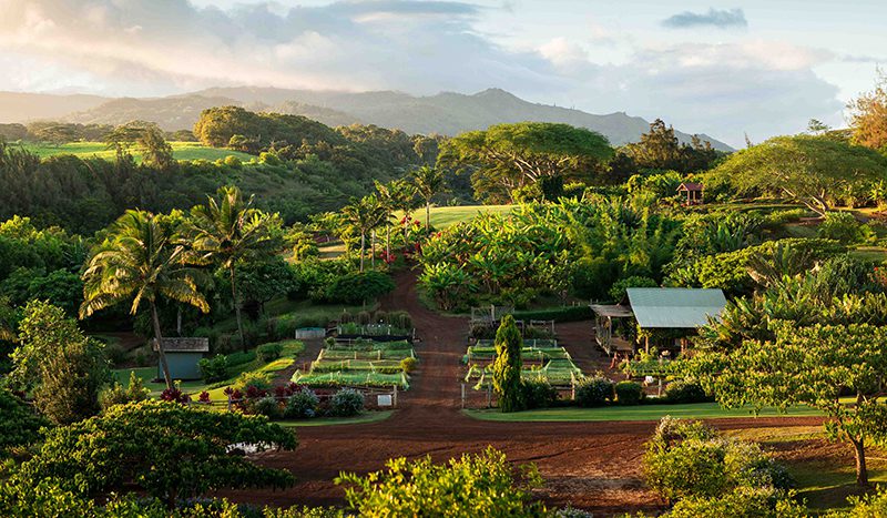 Kauai Organic Farms - Aerial view of beautiful farm set up
