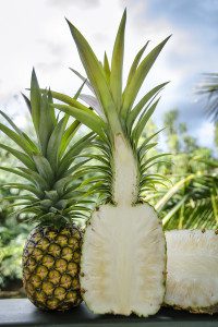 Kauai Organic Farms, Hawaii Organic Farms