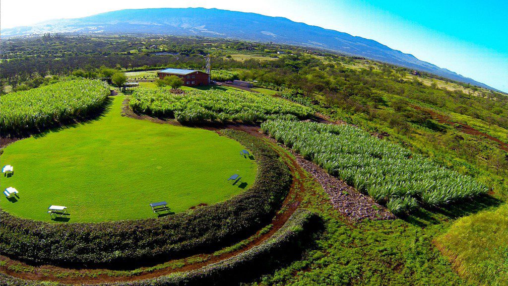 organic farms maui, hawaii organic farms, organic farms hawaii