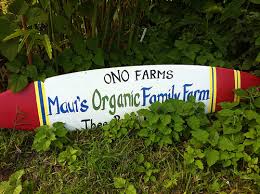 Maui Organic Farms - Ono Farms