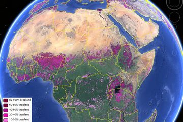 New Farm Maps Offer In-Depth Picture of Global Agriculture
