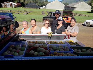 Master gardeners provide produce for keiki – Thegardenisland.com: Local