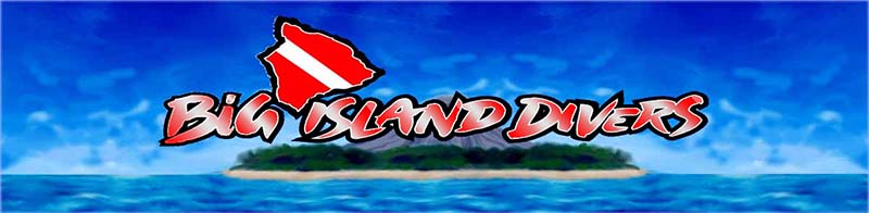 Big Island Divers - Big Island Adventure Travel & ecotourism