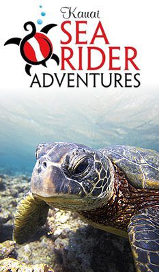 Kauai Searider Adventures - Kauai adventure travel & ecotourism