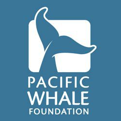 Pacific Whale Foundation - Maui Adventure Travel & ecotourism