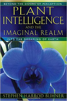 Plant Intelligence & Imaginal Realm Podcast