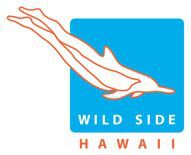 Wild Side Specialty Tours - Oahu Adventures & ecotourism