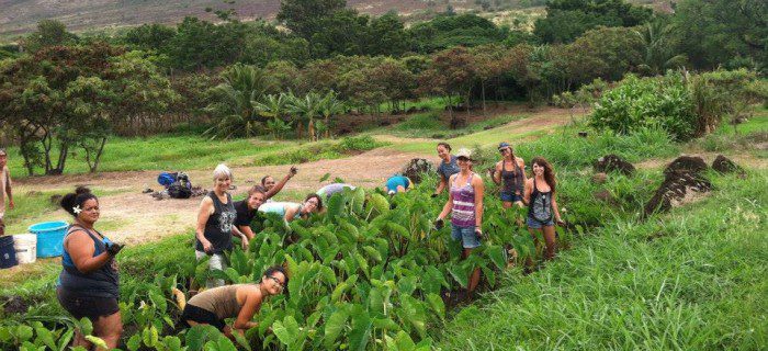 Restoring Ancestral Abundance Through Youth Empowerment in Hawai‘i : Food First