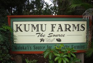 Molokai Organic Farm