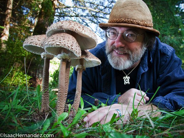 Paul Stamets – How Mushrooms Can Save Bees & Our Food Supply