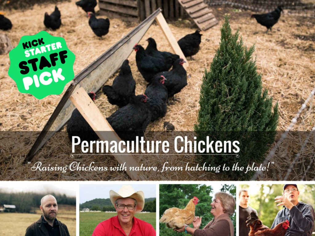 Permaculture Chickens Kickstarter Film – Funded