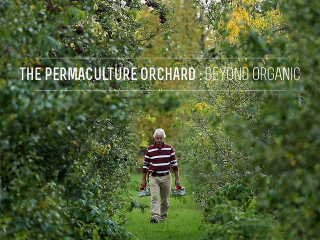 The Permaculture Orchard: Beyond Organic – Documentary