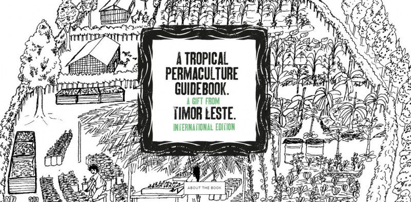permaculture principles, permaculture book, timor leste