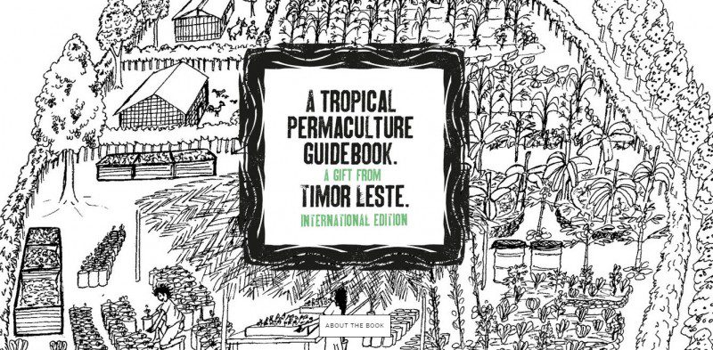 Spreading the Seed of Permaculture from Timor-Leste to the Tropical World · Global Voices