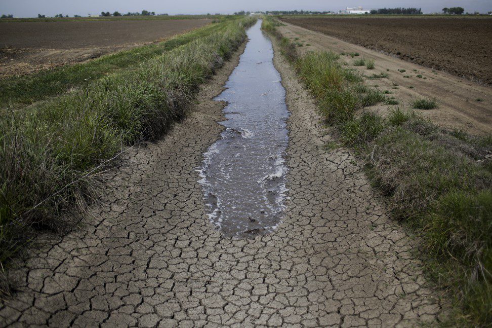 Food System In America