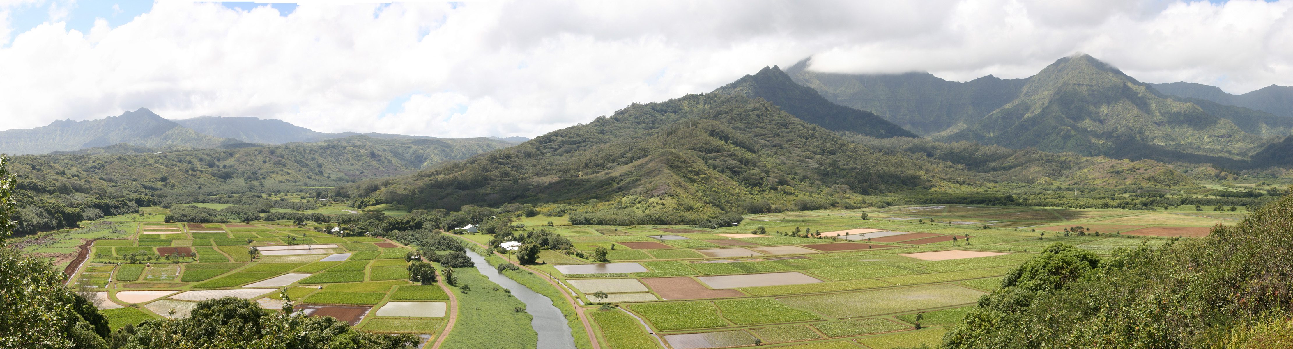From Sugar to Monsanto: Today’s occupation of Hawaii by the Agrochemical Oligopoly