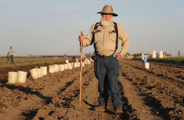 Organic farmers upset with whole foods rating system