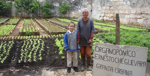 Cuba Organic Farming