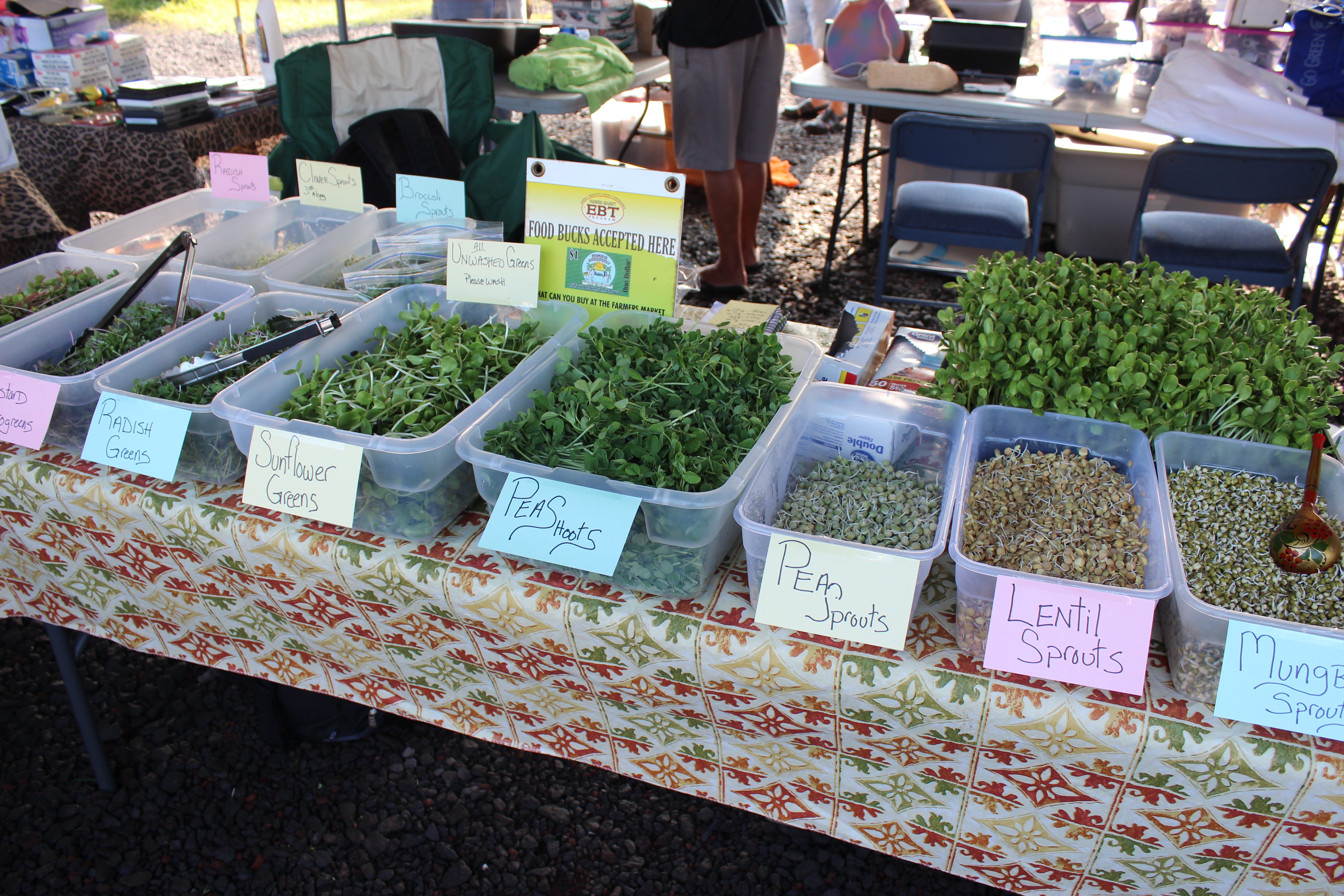 Hawaii Eco Living Sprouts And Microgreens, Where?