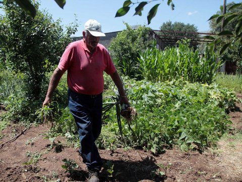 Greek villagers’ secret weapon: Growing their own food – Business Insider