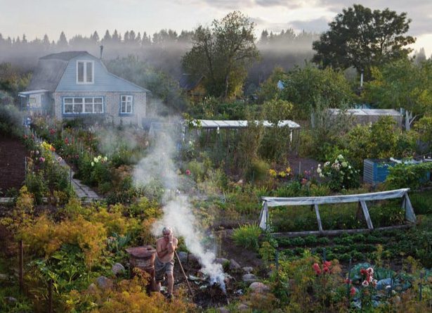 Dacha gardeners feeding the Russian nation