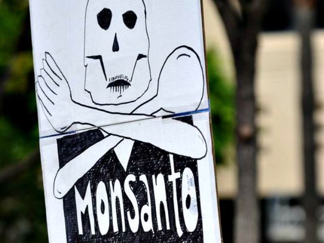 roundup, monsanto