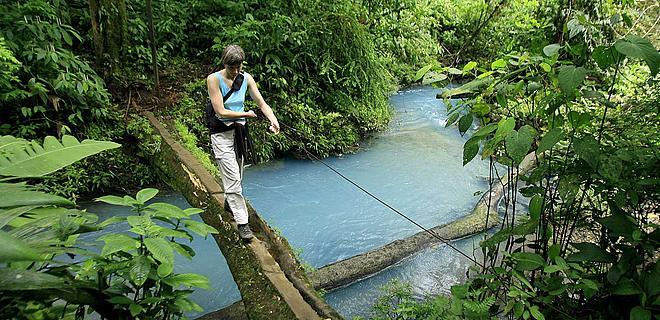 Study suggests ‘green’ vacations could hurt wildlife