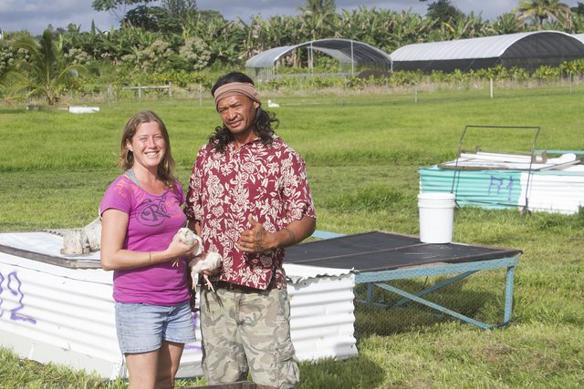 big island, hawaii, local farmer, poultry