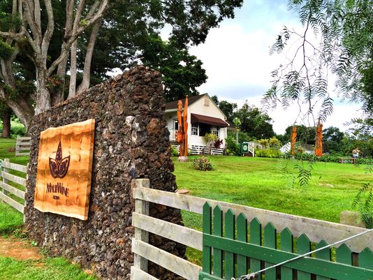 Hawaiian harvest: Exotic agriculture, pineapple wine