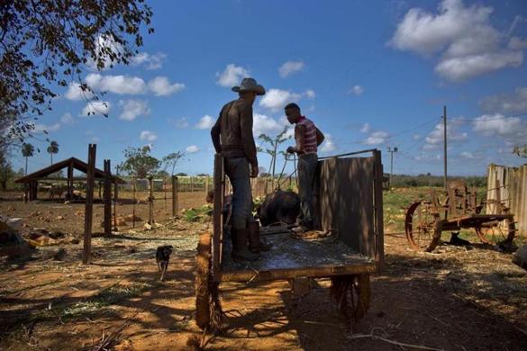 Is Cuba the future of farming? - The Boston Globe - Hawaii Eco Living