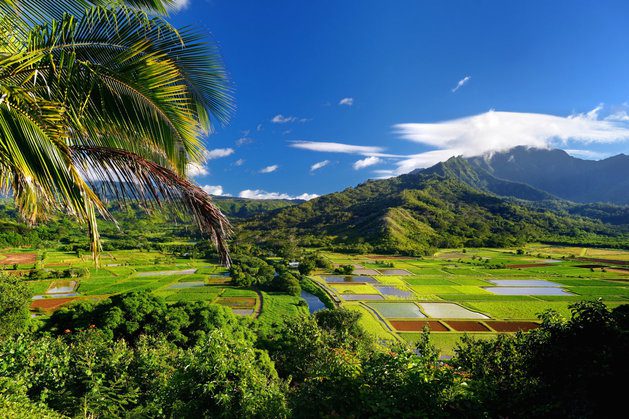 Hawaii May Become The First State To Help Farms Go Organic | The Huffington Post