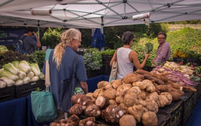 Farmer's Market Maui – Getting Juicy